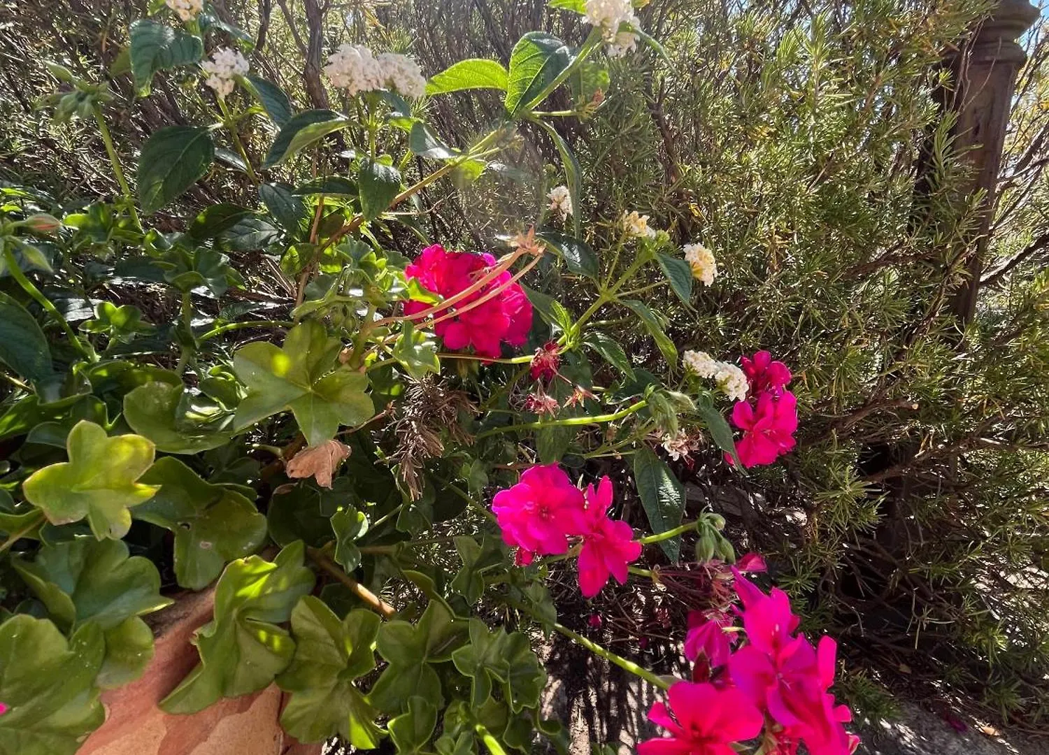 別荘 New Casa Singola Costa Smeralda-Porto Cervo-Pevero